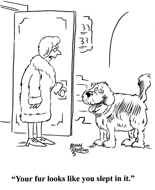 'Your fur looks like you slept in it.'