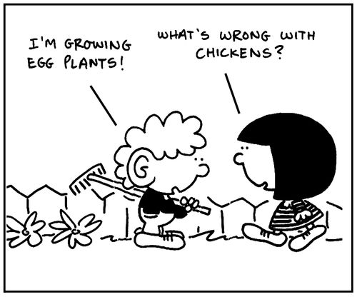 'What's wrong with chickens?'