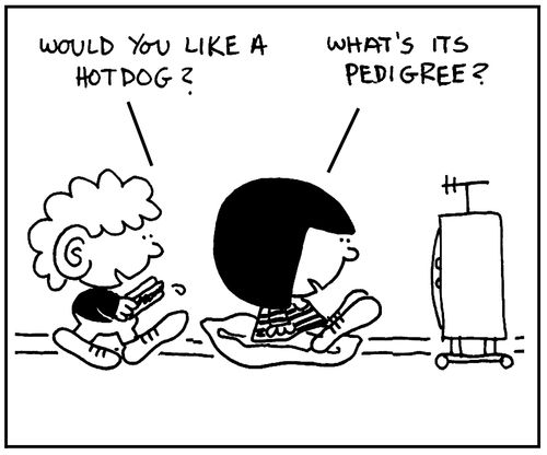 'Would you like a hotdog?'