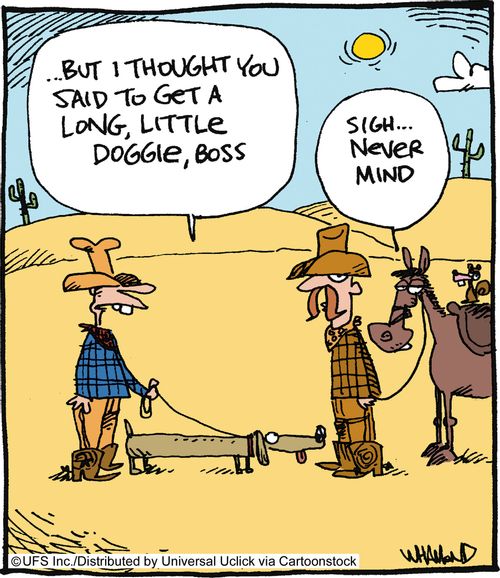 '... But I thought you said to get a long, little doggie, boss.'