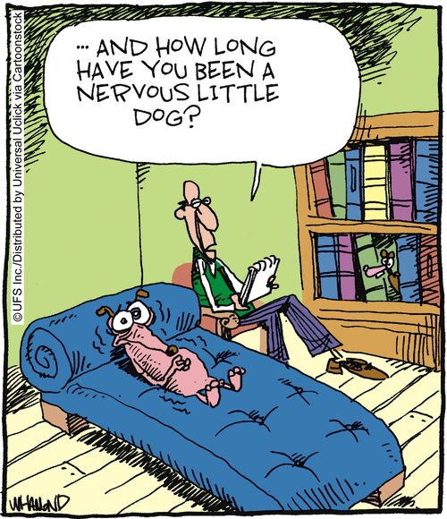 '. . . And how long have you been a nervous little dog?'