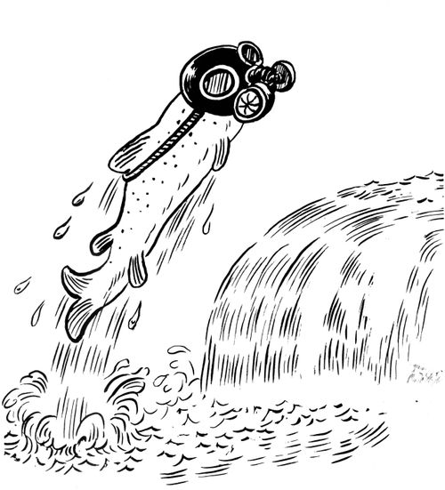 Salmon with a gas mask.