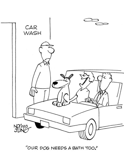 'Our dog needs a bath too.'