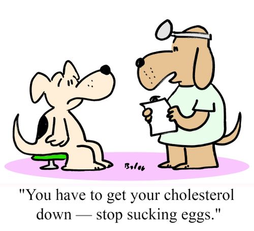 'You have to get your cholesterol down - Stop sucking eggs.'