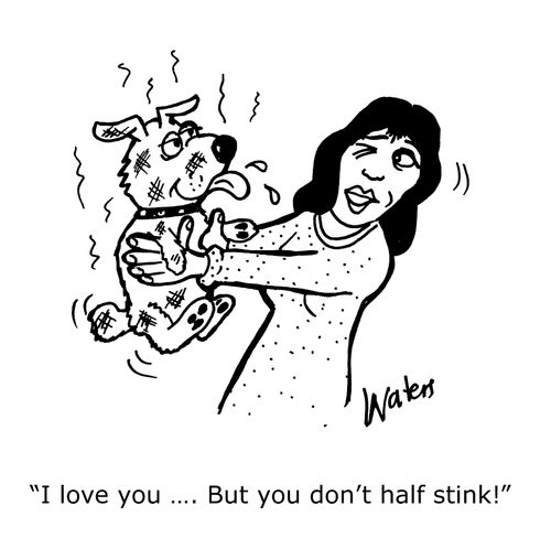 'I love you...but you don't half stink!'