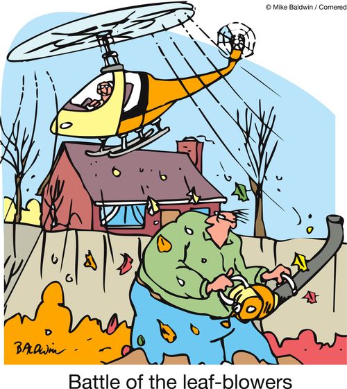 Battle of the leaf-blowers.