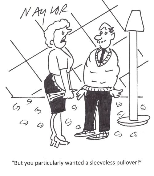 'But you particularly wanted a sleeveless pullover!'
