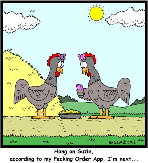'Hang on Suzie, according to my Pecking Order App, I'm next...'