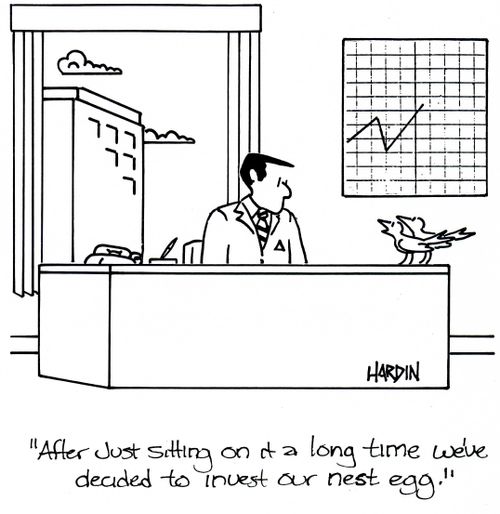 'After just sitting on it a long time we've decided to invest our nest egg.'