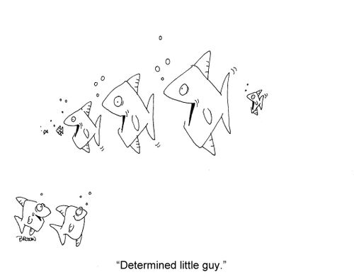 'Determined little guy.'