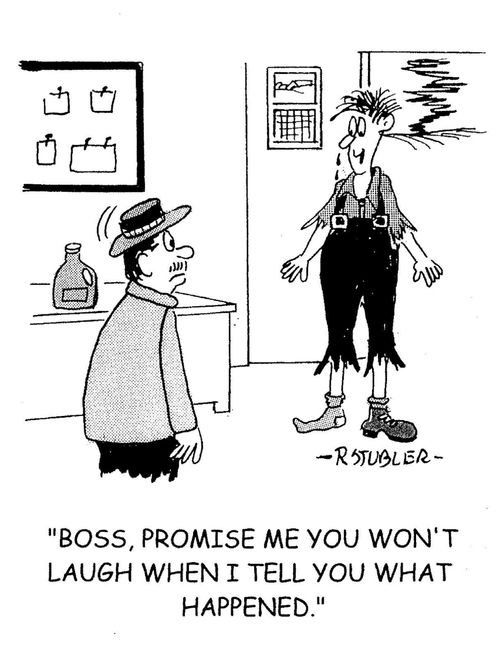 'Boss, promise you won't laugh when I tell you what happened.'