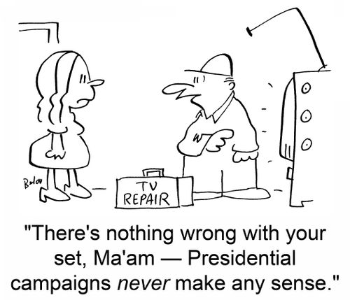 TV REPAIR, 'There's nothing wrong with your set, Ma'am -- Presidential campaigns never make any sense.'