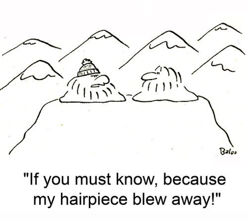 'If you must know, because my hairpiece blew away!'