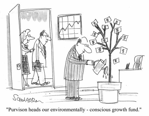 Purvison heads our environmentally-conscious growth fund