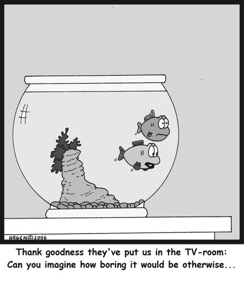 'Thank goodness they've put us in the TV-room: Can you imagine how boring it would be otherwise...'