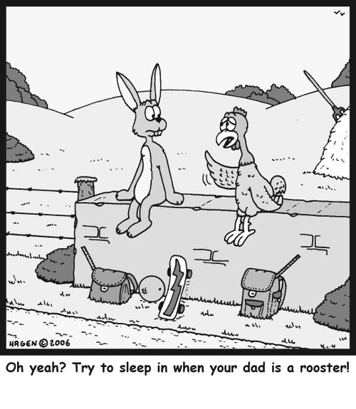 'Oh yeah? Try to sleep in when your dad is a rooster!'