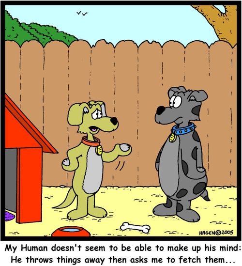 'My Human doesn't seem to be able to make up his mind: He throws things away then asks me to fetch them...'