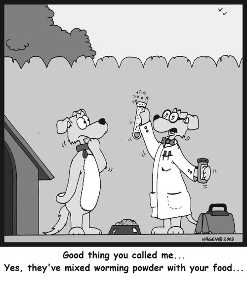 'Good thing you called me... Yes, they've mixed worming powder with your food...'