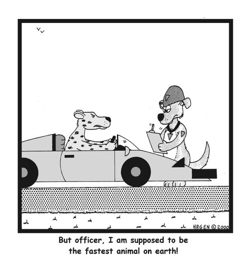 But officer, I am supposed to be the fastest animal on earth!