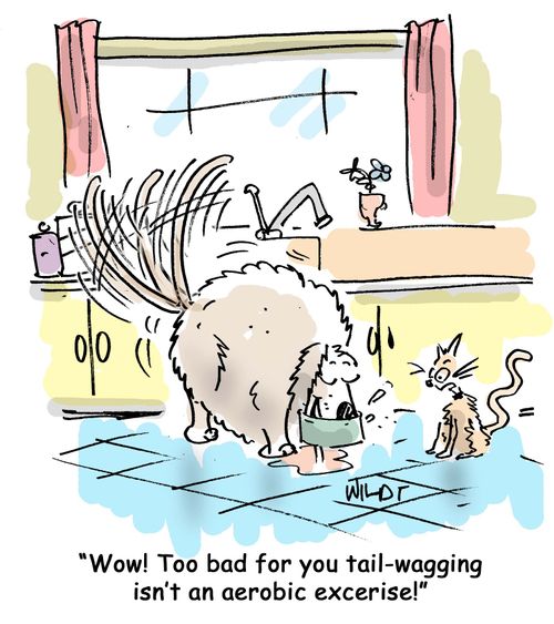 'Wow! Too bad for you tail-wagging isn't an aerobic exercise!'