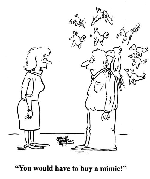 Lady to man with many birds: 'You would have to buy a mimic!'