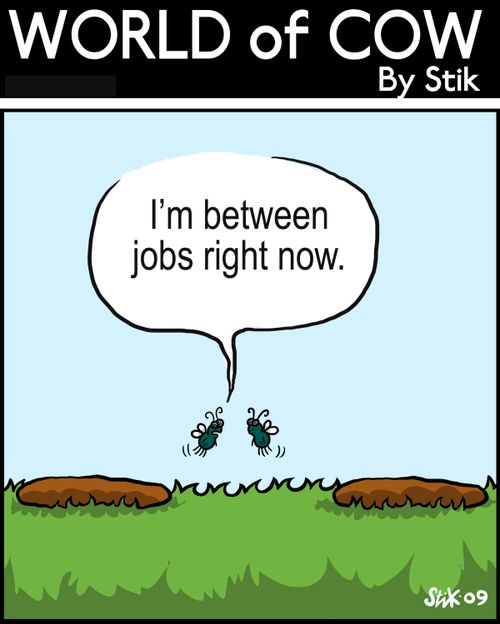 I'm between jobs right now.