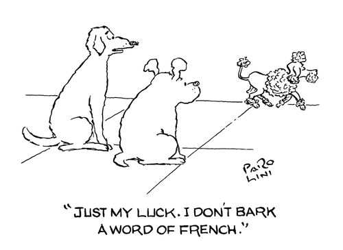 'Just my luck. I don't bark a word of French.'