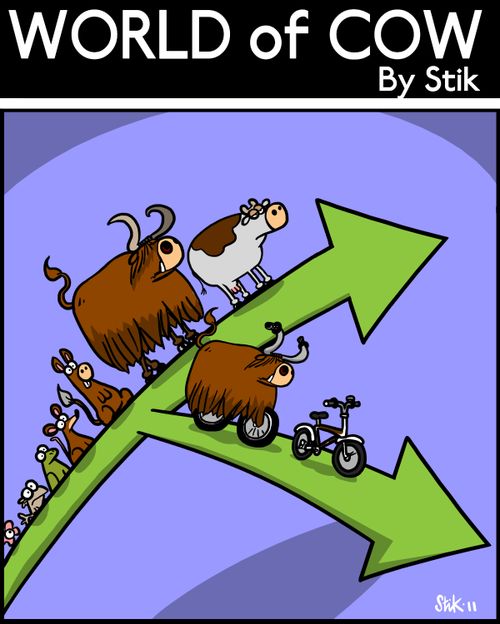 Cow and Bike Evolution