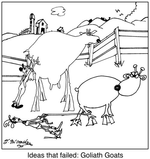 Ideas that failed: Goliath Goats.