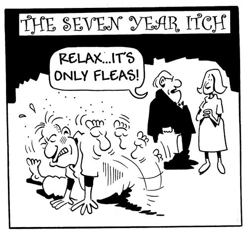 Relax...it's only fleas!
