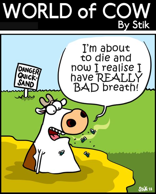 'I'm about to die and now I realise I have REALLY BAD breath!'