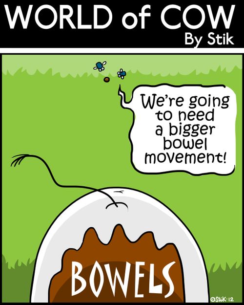 BOWELS: 'We're going to need a bigger bowel movement.'