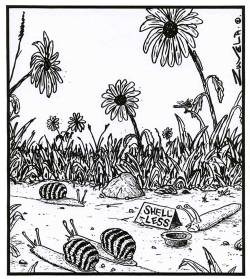 A snail 'Shell-less'.
