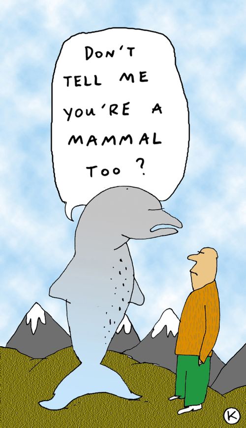'Don't tell me you're am mammal too?'