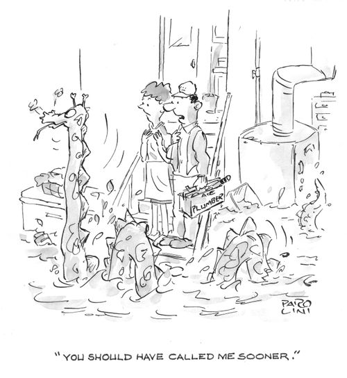 'You should have called me sooner.'
