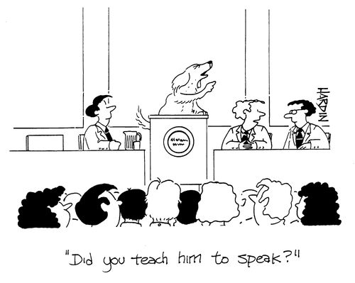 'Did you teach him to speak?'
