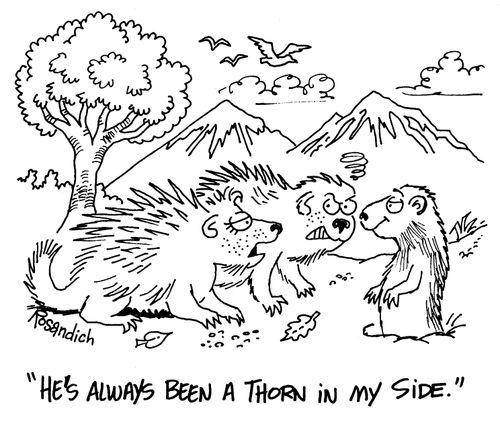 "He's always been a thorn in my side."