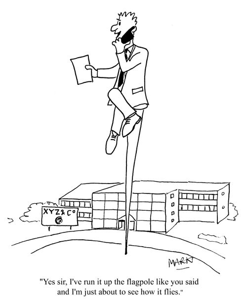 "I've run up the flagpole like you said and I'm just about to see how it flies."