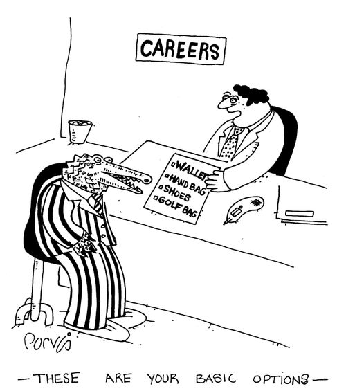 "These are your basic career options."