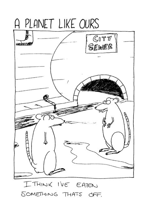 A planet like ours - "I think I've eaten something that's off."