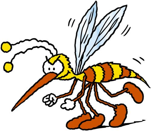 Evil Insect