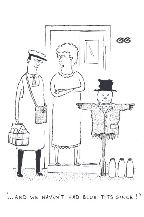 '...and we haven't had blue tits since !'