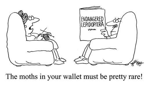 Man reading 'Endangered lepidoptera' book, wife says 'The moths in your wallet must be pretty rare!'.
