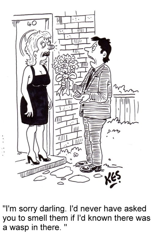 'I'm sorry darling. I'd never have asked you to smell them if I'd known there was a wasp in there.'