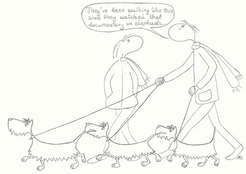 "They've been walking like this since they watched that documentary on elephants."