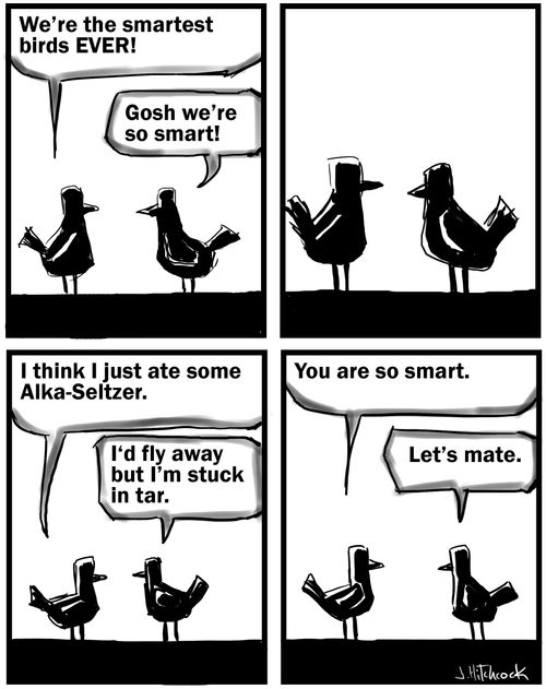 Two smart birds.