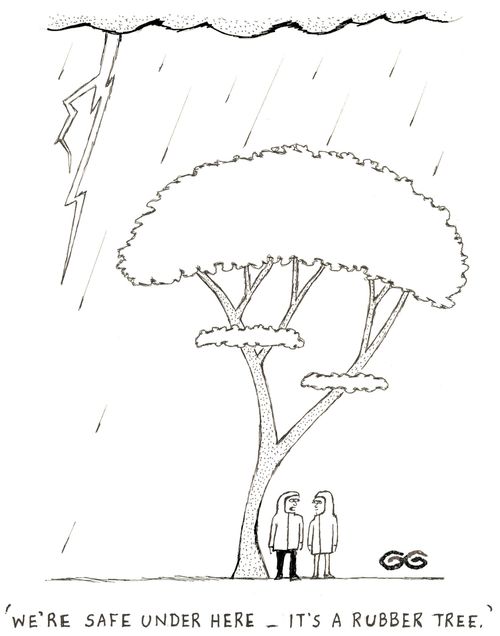 'We're safe under here - it's a rubber tree.'