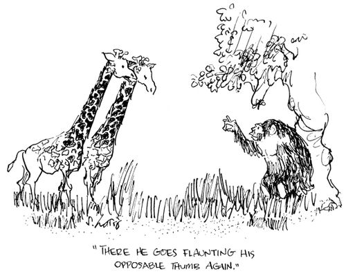 'There he goes flaunting his opposable thumb again.'