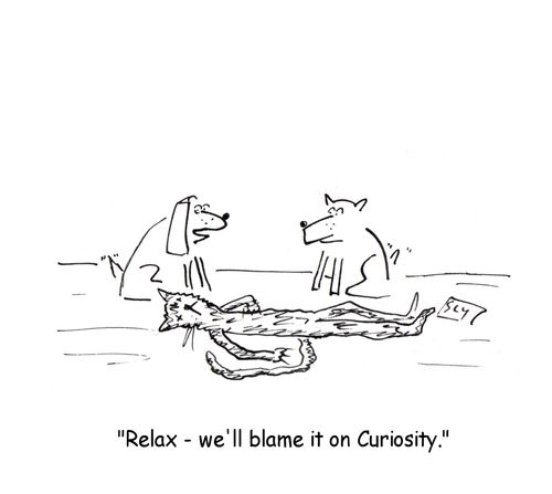 'Relax - we'll blame it on Curiosity.'