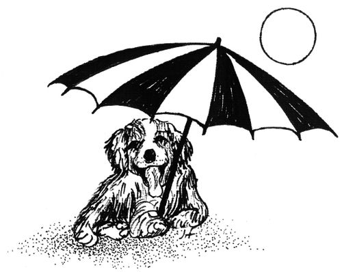 Dog Sun Shade.